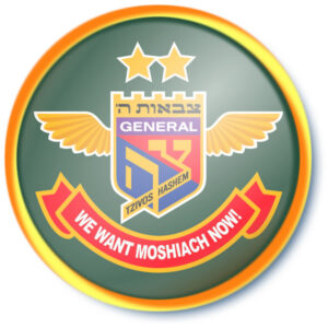 2 Star General Badge