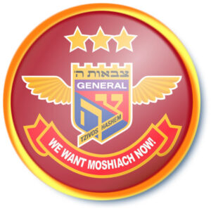 3 Star General Badge