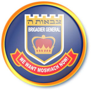 Brigadier General Badge